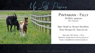 Video von My Little Passion