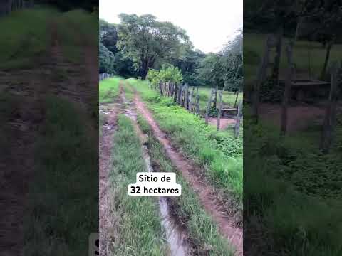 What 77998539398 32 hectare em muito boa de água em Catolândia na Bahia #sítio #vidanaroca #Chacará