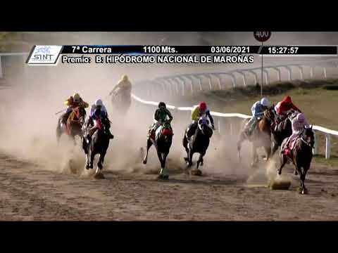 03/06/2021 – Hipodromo Florida – Carr 7 –  B: HIPÓDROMO NACIONAL DE MAROÑAS