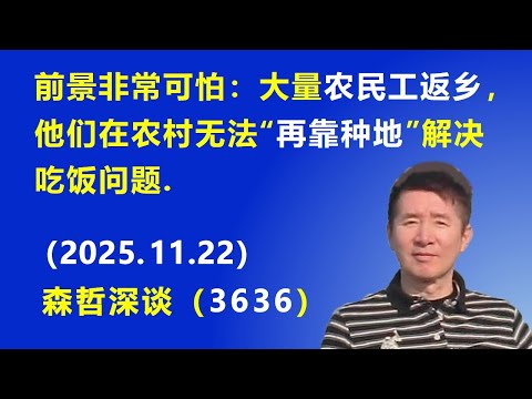 前景非常可怕：大量农民工返乡，他们在农村无法“再靠种地”解决吃饭问题.（2025.11.22) 《森哲深谈》