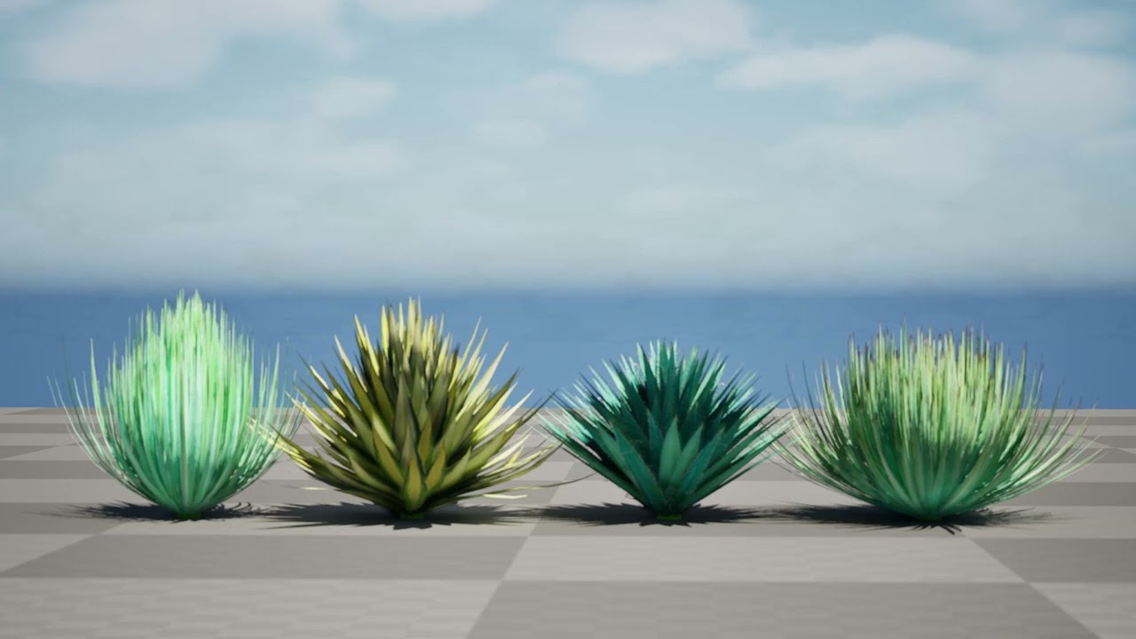 Yucca gloriosa 3D Model