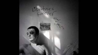 THE LIBERTINES - The man who would be king (Babyshambles Sessions)