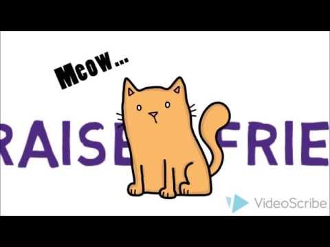 HOW TO RAISE A FRIENDLY CAT
