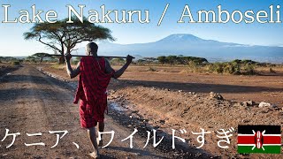 ケニアでやばいもん見た / 海外旅行Vlog