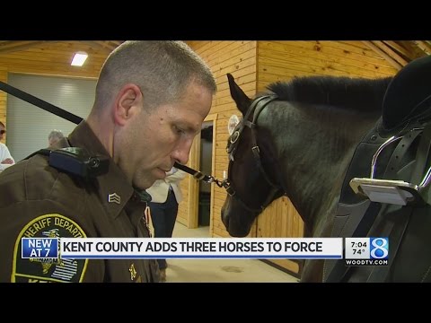3 more horses join Kent County Sheriff's Dept.