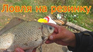 Ловли карася осенью на резинку