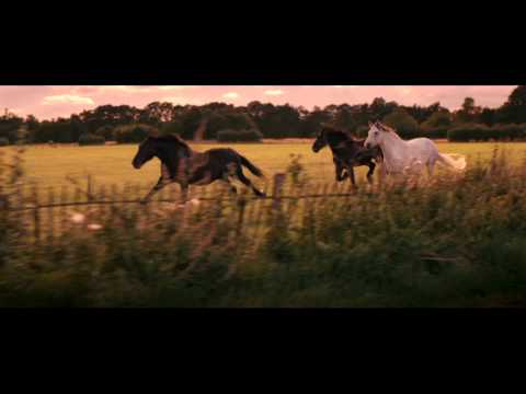 30" TV spot