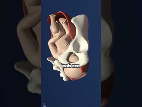 Nunca hagas esto con un bebé recién nacido