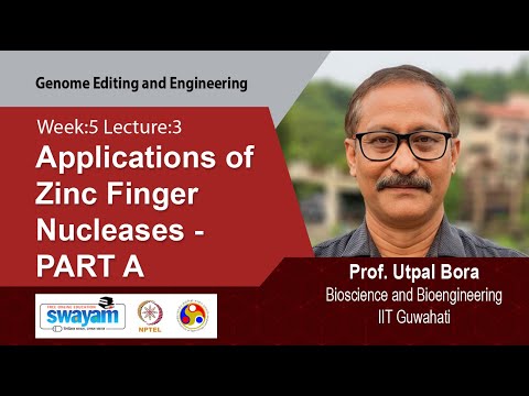Genome Editing and Engineering Intro Video