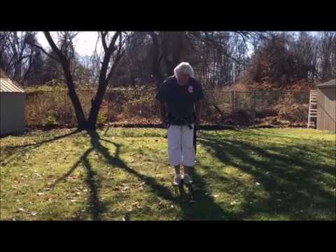 Matayoshi Kobudo ,San Setsu Kon Kata