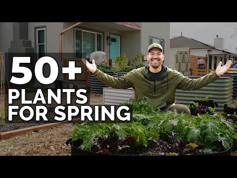 50+ Plants I'm Growing In My Spring Garden ???? ???? ????