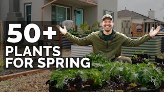 50+ Plants I