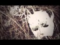 Hetane - Spy 