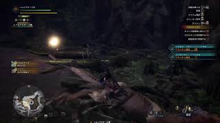 MHWI キャブ式会社ヘルブラザーズ新大陸日記part1