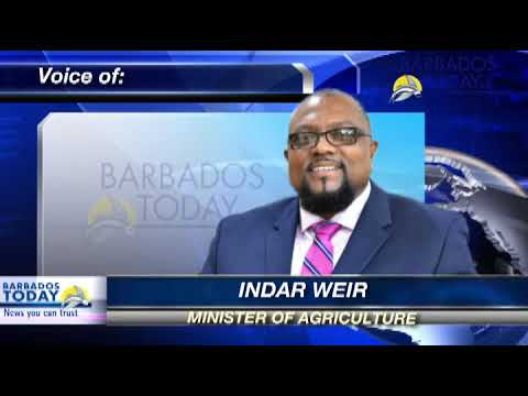 BARBADOS TODAY MORNING UPDATE December 3, 2021