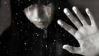 Pooh il silenzio della colomba