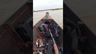 Download lagu menyelamatkan bebek yg mau tenggelam mp3