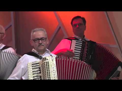 Det grå Guld - Bjørnen vågner