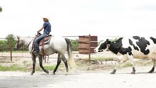 Video 1
