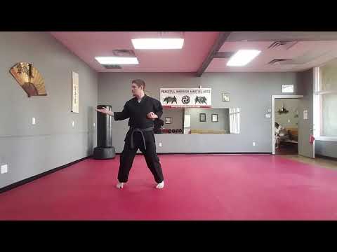 Naihanchi Shodan Slow Motion