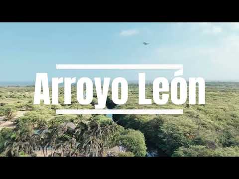 Arroyo León Barranquilla Atlantico Colombia