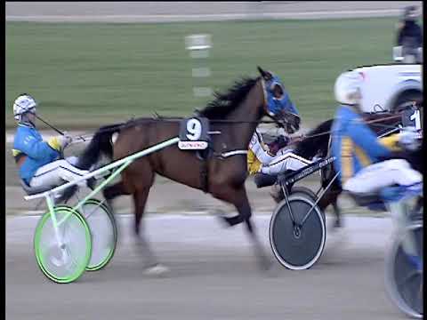 Trotto 08/03/2019 - 2ª corsa