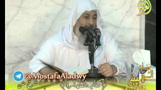 أبو شجاع (7) " الذي يوجب الغسل ستة أشياء " كتاب الطهارة لفضيلة الشيخ مصطفى العدوي 16 3 2016 image