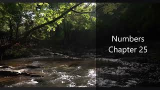 The Book of Numbers Chapter 25 - New King James Version (NKJV) - Audio Bible