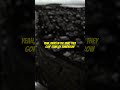 don toliver, kodak black - brother stone (LYRICS)