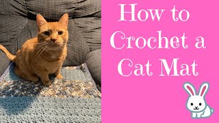 How to Crochet a Cat Mat