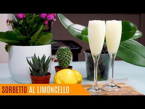 Sorbetto al limoncello fatto in casa, ricetta facilissima - Le video ricette di Laraa