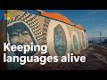 Supporting endangered Languages