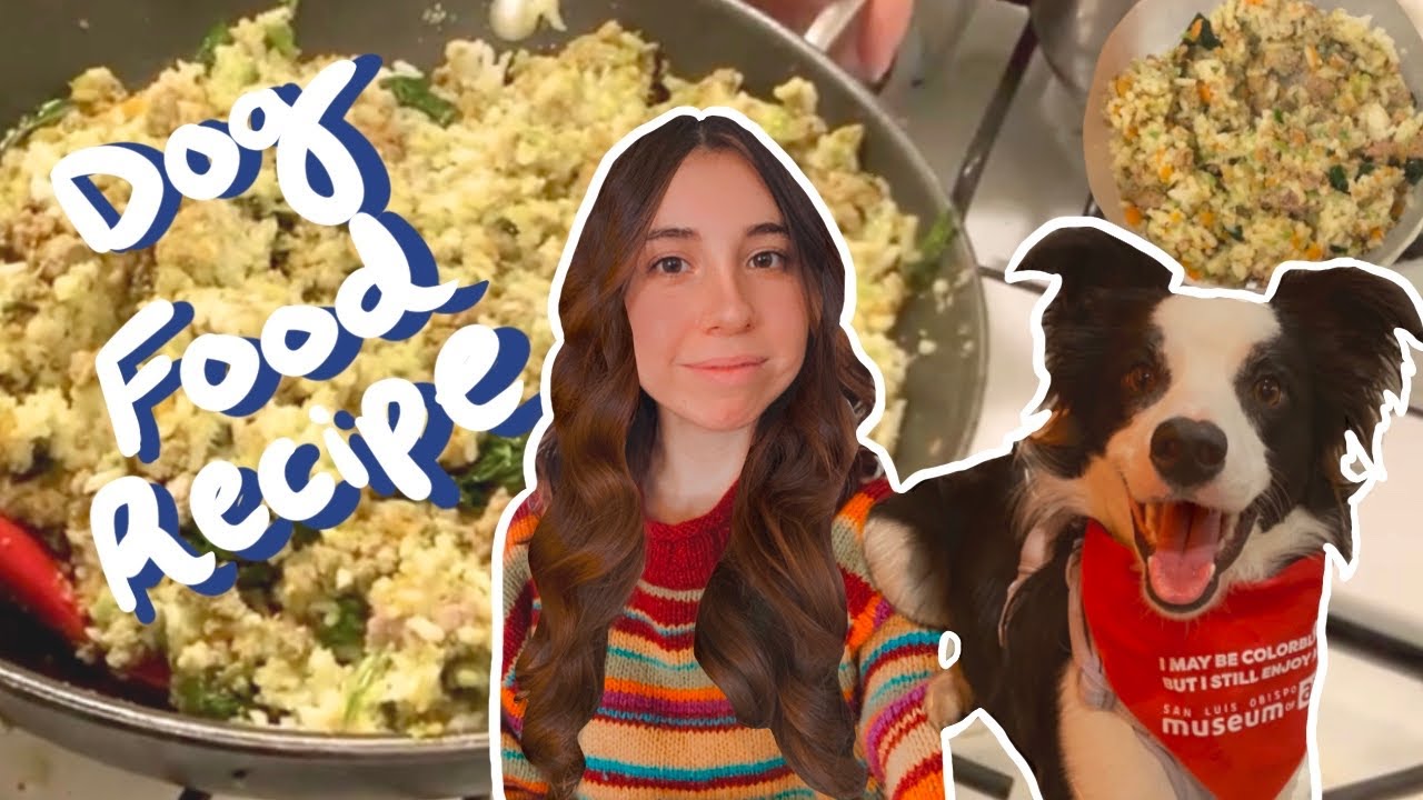 How to Make Homemade Dog Food (Vet-Approved Recipe ✅)