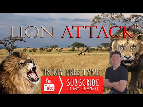 Lion (Lyon) Attack-Close Encounter-Caught On Camera-Africa.
