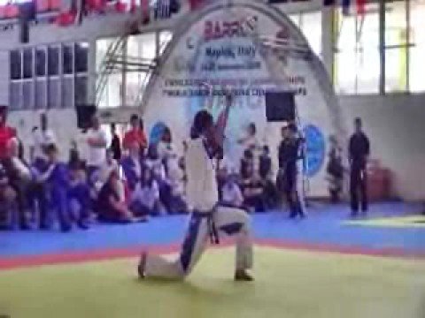 2008 WAKO Naples, Italy Musical Weapons Andrew Schmetzer