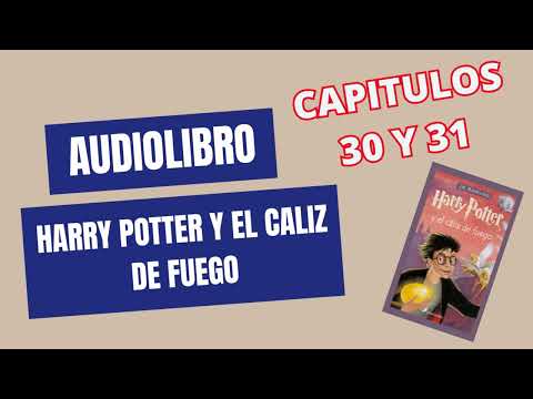 30 En Pensadero - Harry Potter El Caliz De Fuego