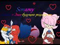 "Sonamy"Соник и Эми-будущие родители" 5 серия "Обследование ...