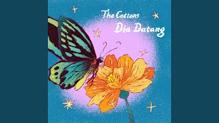 Download lagu Dia Datang mp3