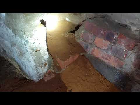 Rat Burrow Found in Basement of Commercial Building in Freehold, NJ