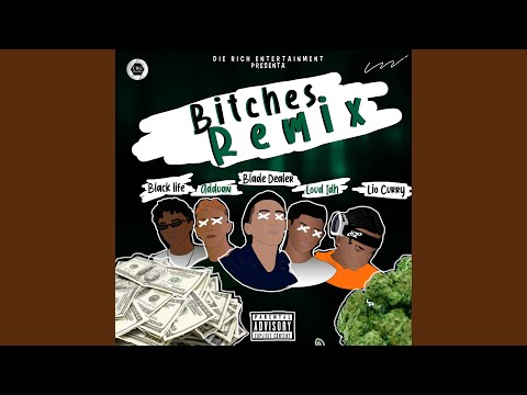 Bitches Remix
