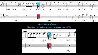 Ave Verum Corpus.  Josquin des Prez.