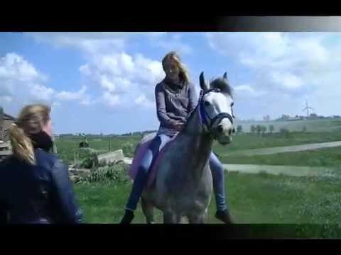 videoclip muziek marne college