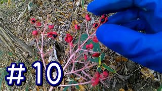 整地生活、始めました。 - Part10 -