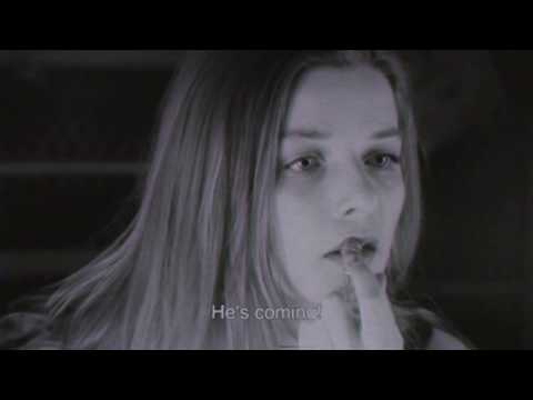 Tredici Bacci "Felicity Grows" [Official Music Video]