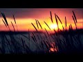 John Frusciante - Time Goes Back