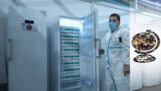 Video: Serbia distributes China's Sinopharm COVID Vaccine - Journeyman