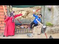 The First Wife Jealous Of Her Husband S Relationship With His Second Wife Got Into An Argument