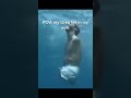 If you laugh you go to hell pt1#shorts #memes #meme