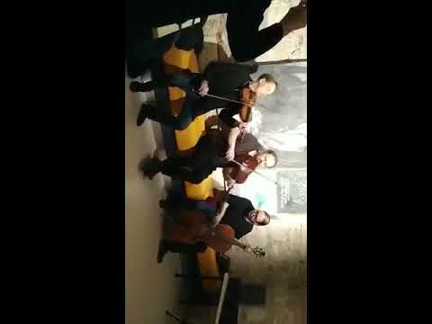 EXPO/KVANTUM/BAROZDA