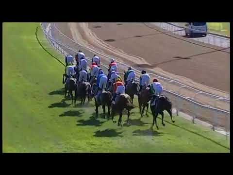 2018.07.07 Betting World 2200 (RSA) - Head Honcho